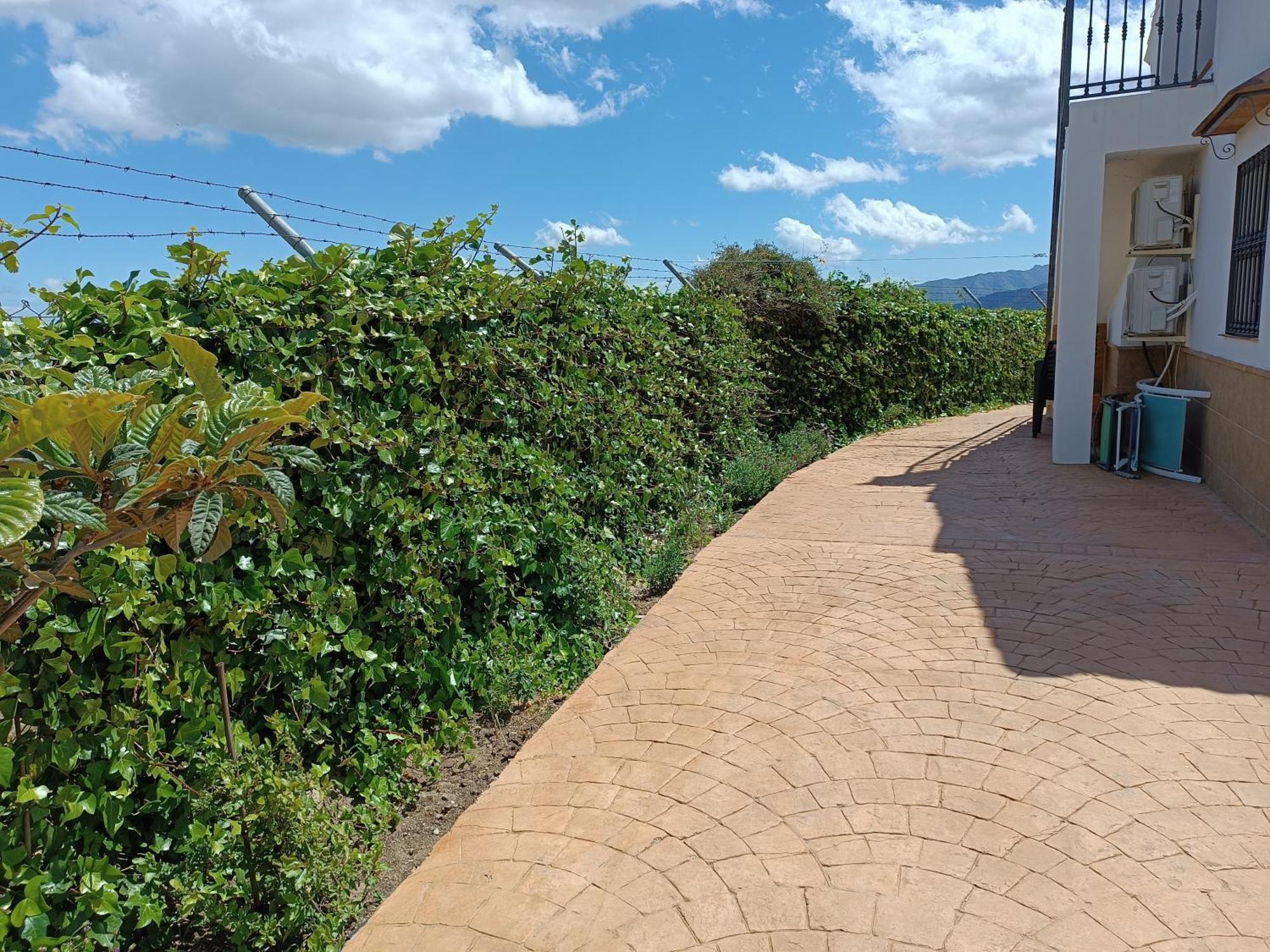 Casa Rural La Revuelta Con Las Mejores Vistas A La Naturaleza Yunquera Buitenkant foto